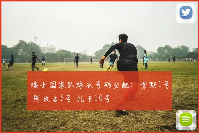 瑞士国家队球衣号码分配：索默1号 阿坎吉5号 扎卡10号