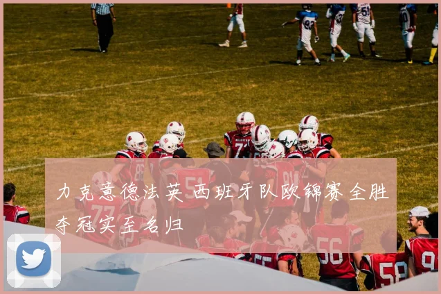 力克意德法英 西班牙队欧锦赛全胜夺冠实至名归